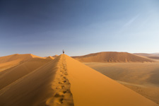 Namibia-Namibia-Between Desert & Skeleton Coast